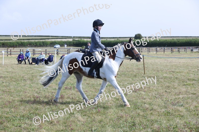 20250831-2473 - Class 16 - Family Pony