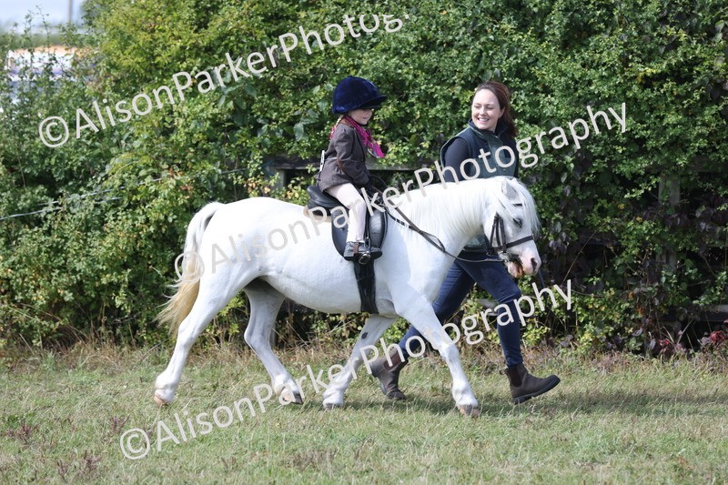 20250831-3273 - Class 24 - Absolute Beginners Pony