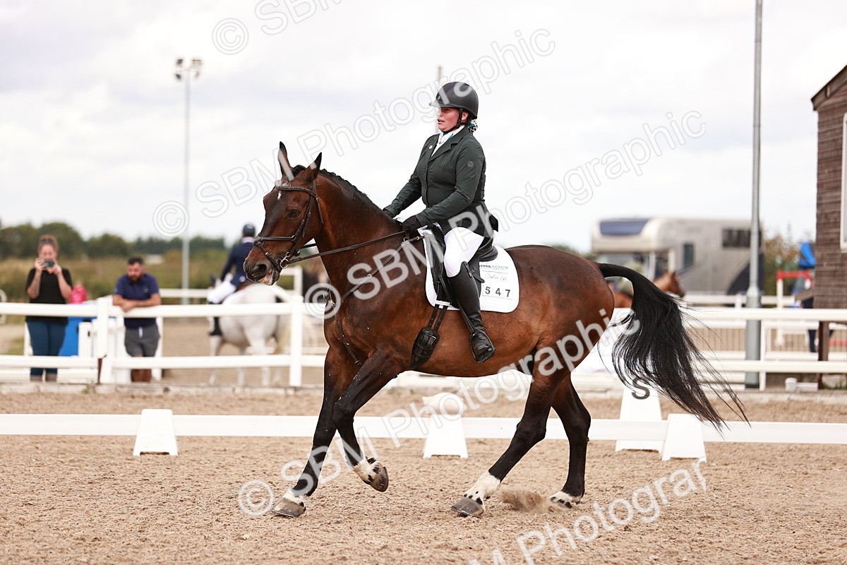 SBM_06369 - Class 37 - Novice 5