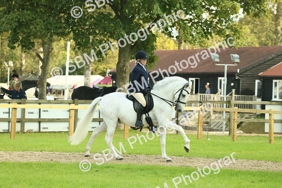 SBM_62445 - S62 - Foreign Breeds Ridden