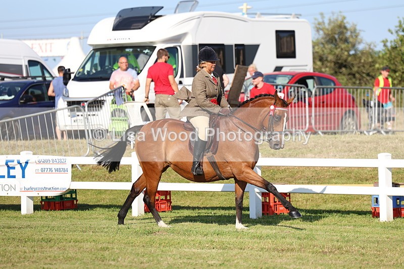 3E7A5204 - Class 1: Rising Star Small Hack/Riding Horses