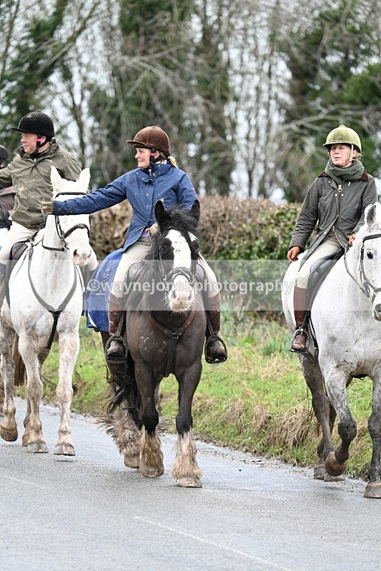 WJ7_8886 - Berks & Bucks - Rowles Farm 15-02-26
