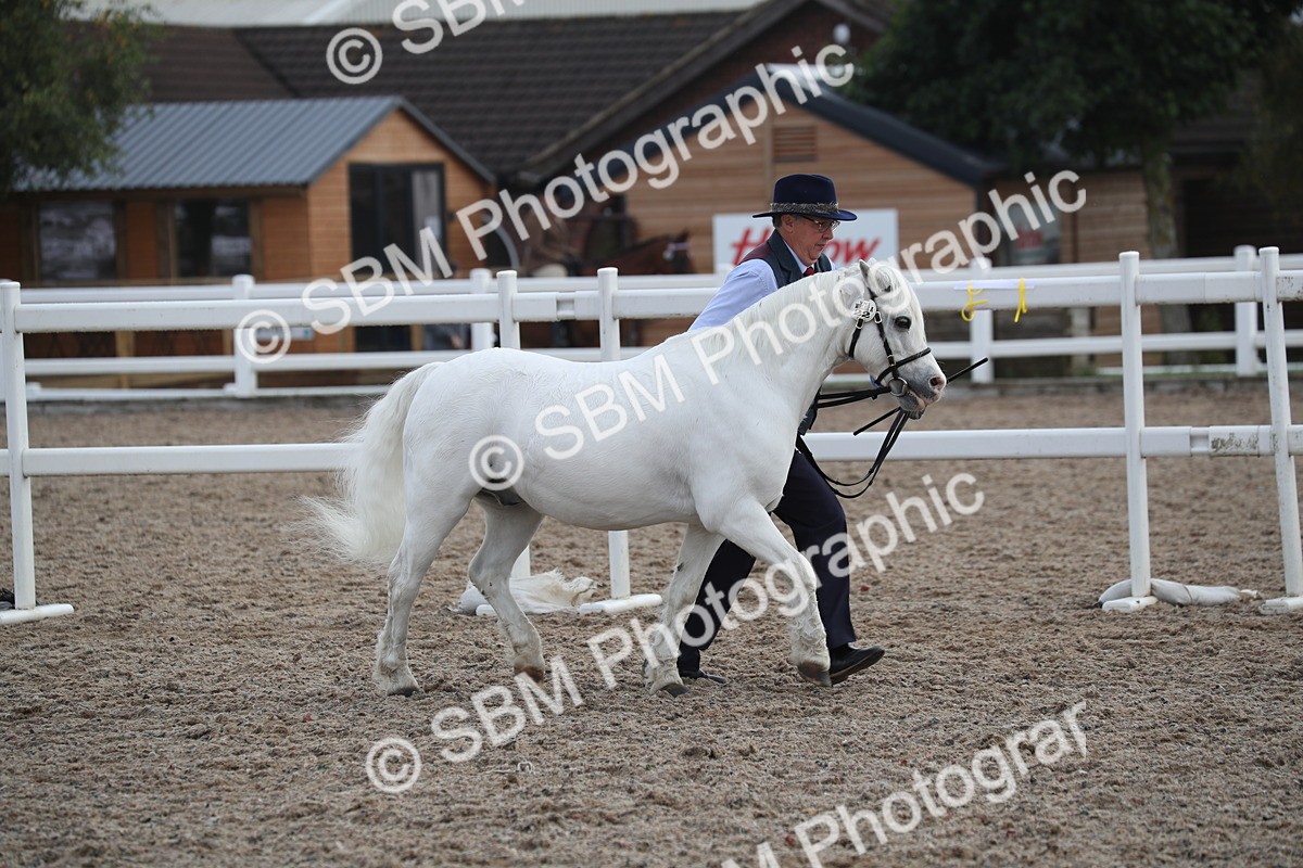 SBM_23113 - Class 605 - 2025 Area - IH Veteran