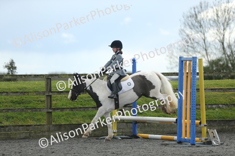 20260412-1964 - Show Jumping