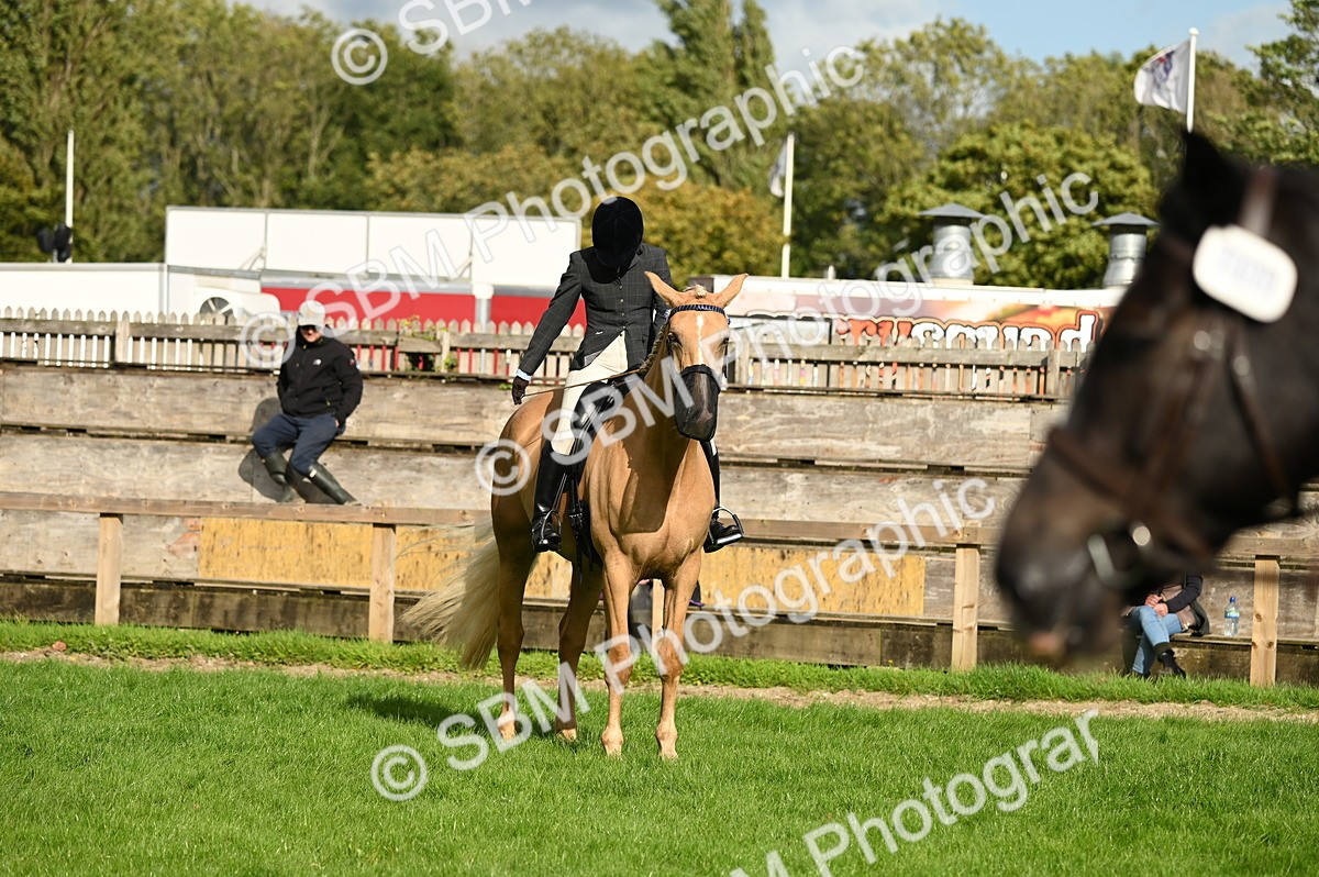 SBM_26411 - S6 - Novice & newcomer Ridden horse