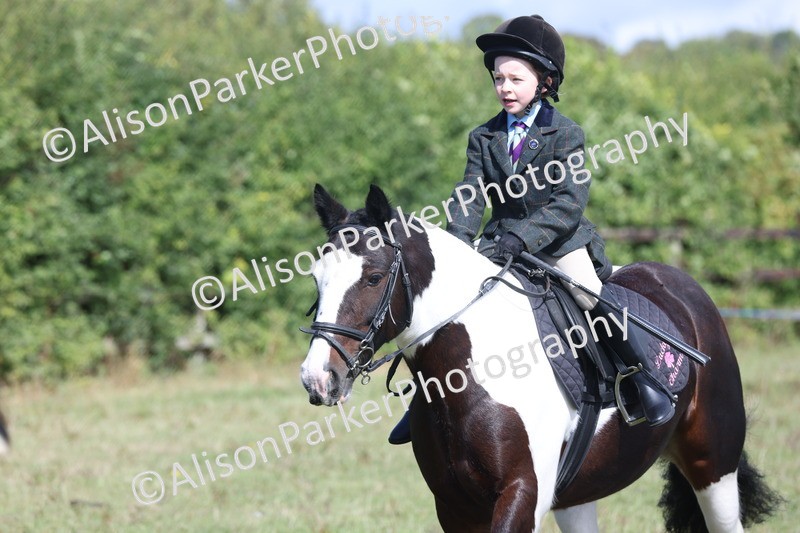 20250831-2489 - Class 16 - Family Pony