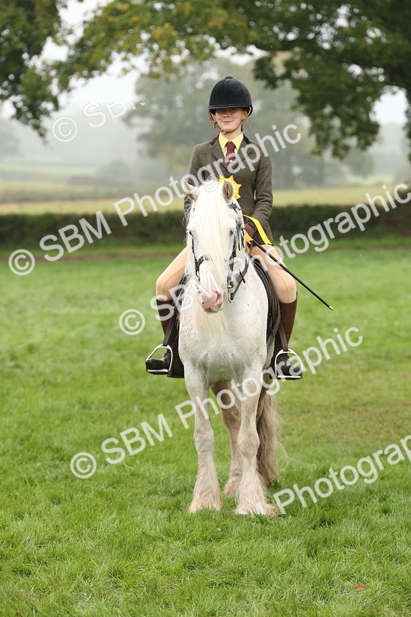 SBM_72862 - S70 - Traditional Cob Ridden