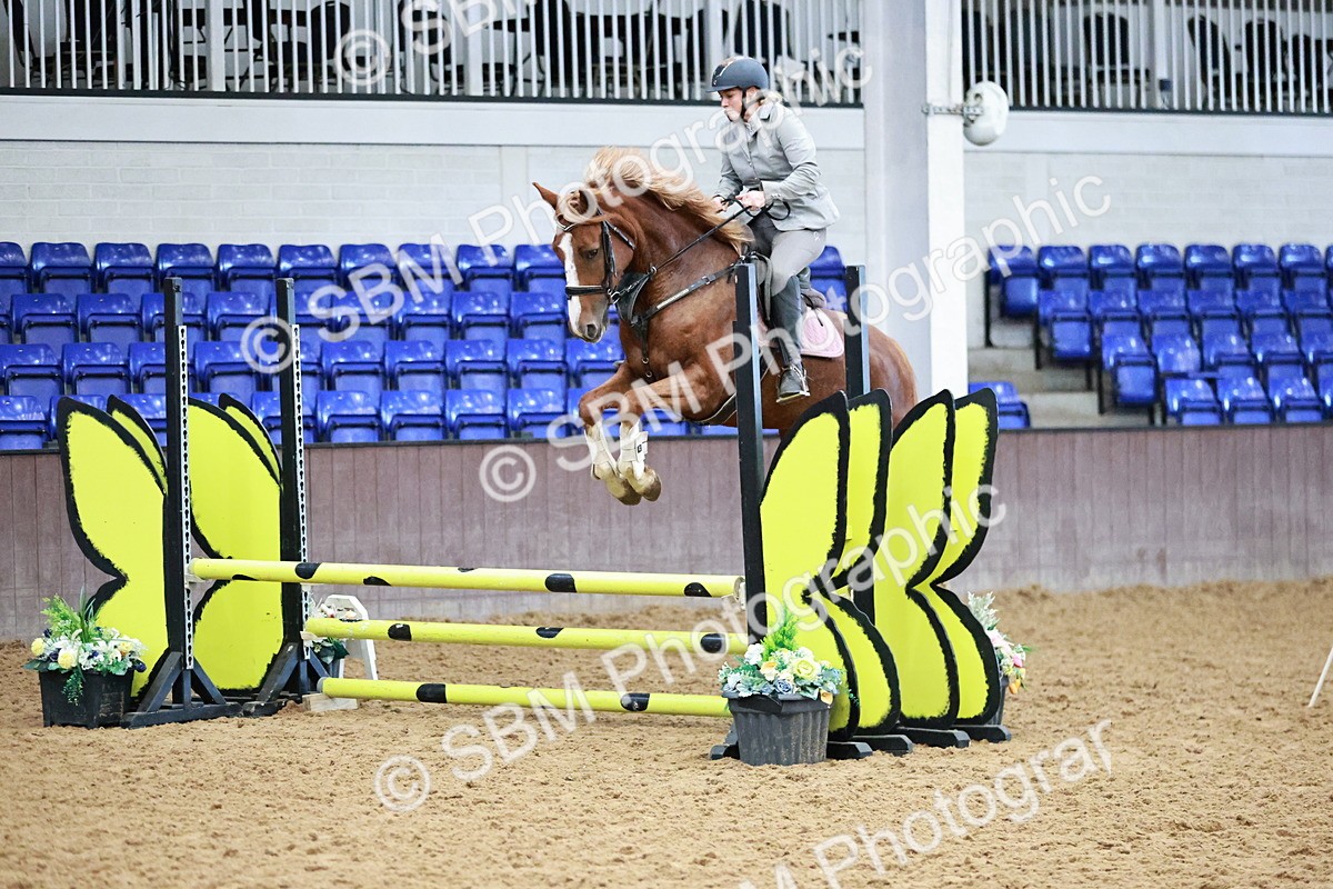 SBM_000091 - Class 1 - Clear Round Show Jumping 80cm