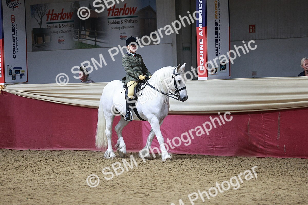 SBM_07993 - Class 11R - Regional Ridden Veteran