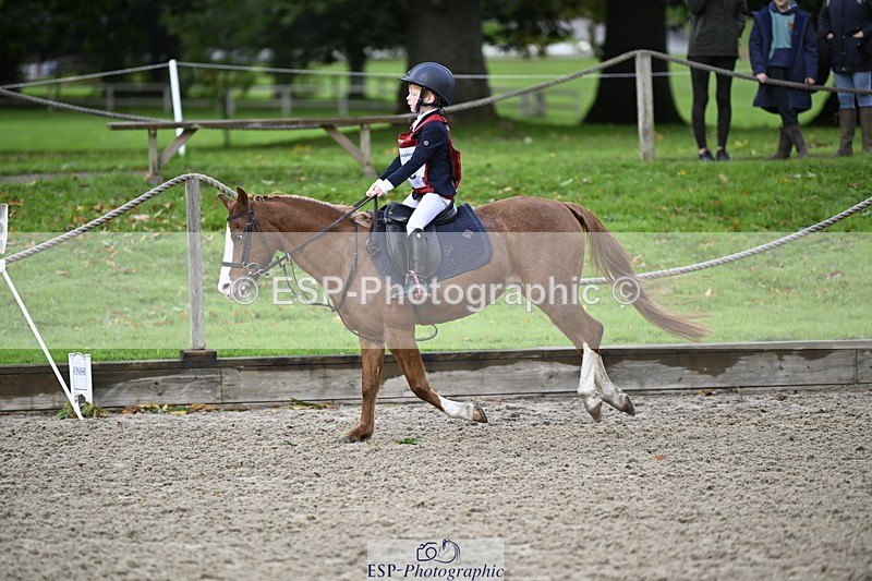 251005A-090916-02970 - Cls 02 GR 50cm