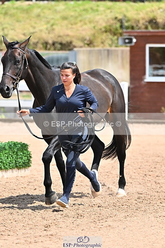 240718A-105316-01774 - Trot Up 1pm to 2pm