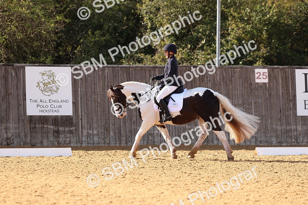 SBM_50450 - D12 - Small Tour Championship prelim 2