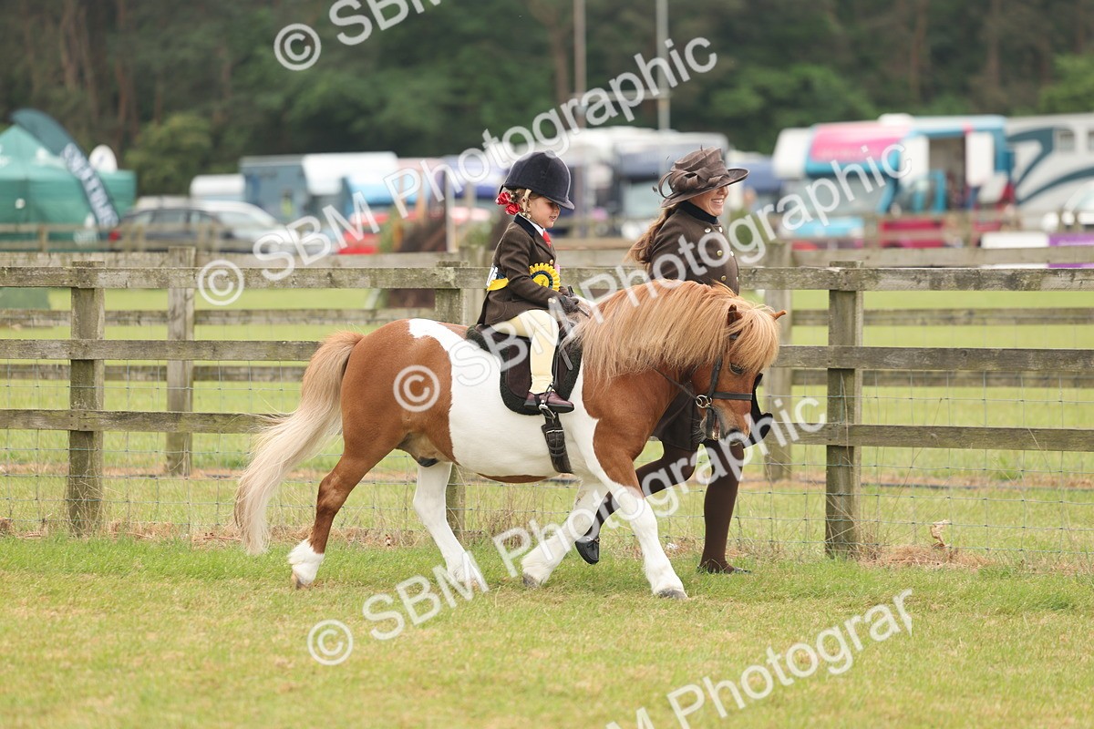 SBM_06845 - Class 74-75 - M&M Lead Rein and First Ridden Pony
