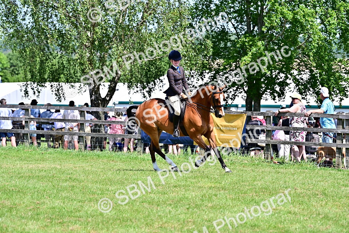 SBM_15354 - Class 95-97 - BSPS LHS Performance Ponies