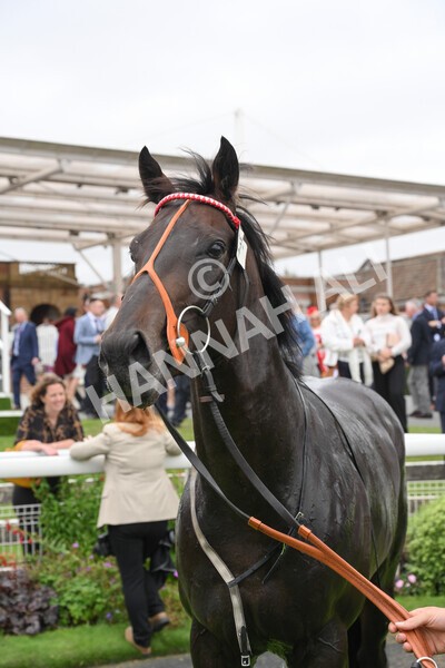 yr24092021r2-53 - Race 2 2.05pm William Hill Extra Places Races Stakes