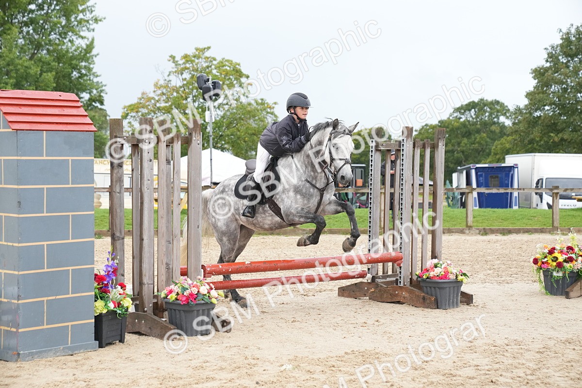 SBM_01460 - J54 - Clear Round 50cm