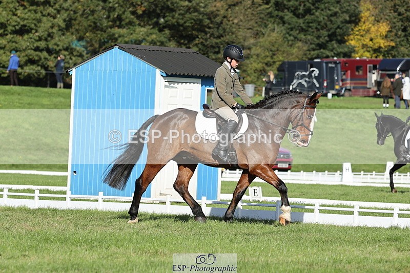 251024A-111934-09945 - D-351-Thomas.Harris