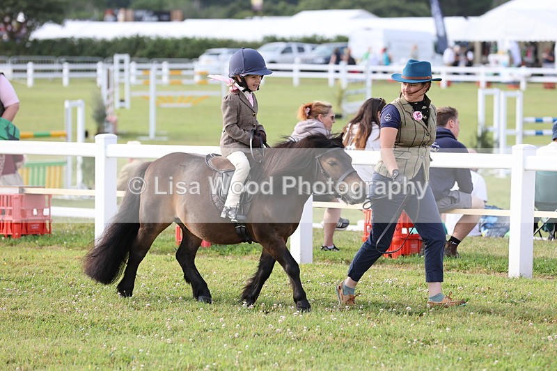 JPP_0225 - Class 14: Cornish Combination Leading Rein