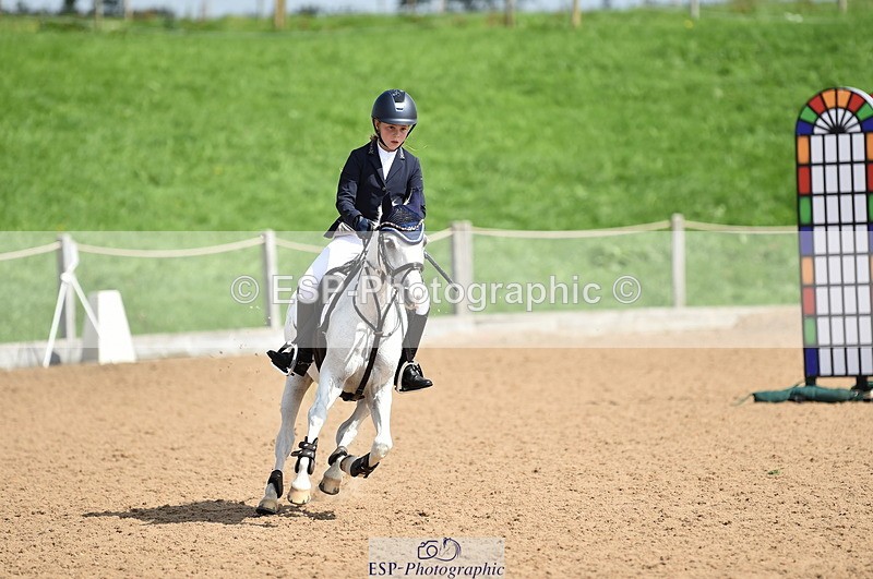 230902A-130902-01334 - Cls 3A Pony Medium 80cm