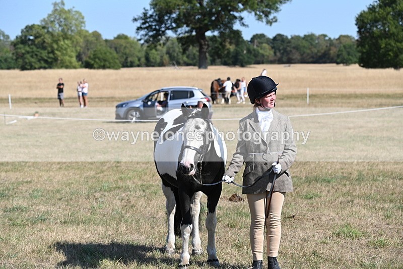 WJ6_7583 - Class 34 Judges Choice