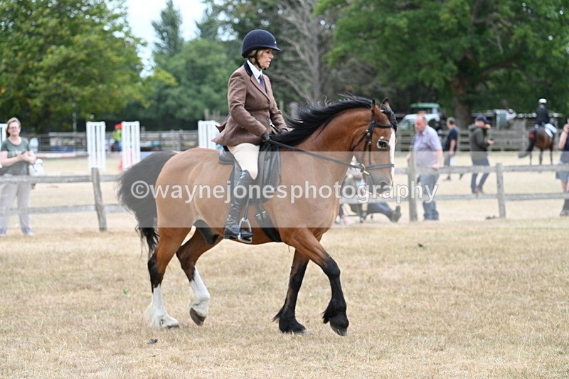 WJ7_0567 - Class 6 Ridden Mountain and Moorland