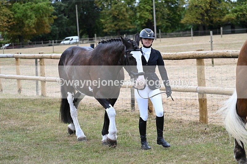 WJ7_9083 - Class 4a Prettiest Mare 14.2hh and over