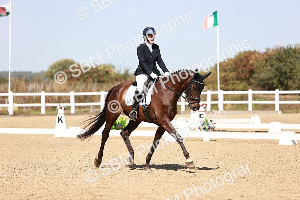 SBM_004919 - Class 12 - Novice 5 - 12.02-12.44