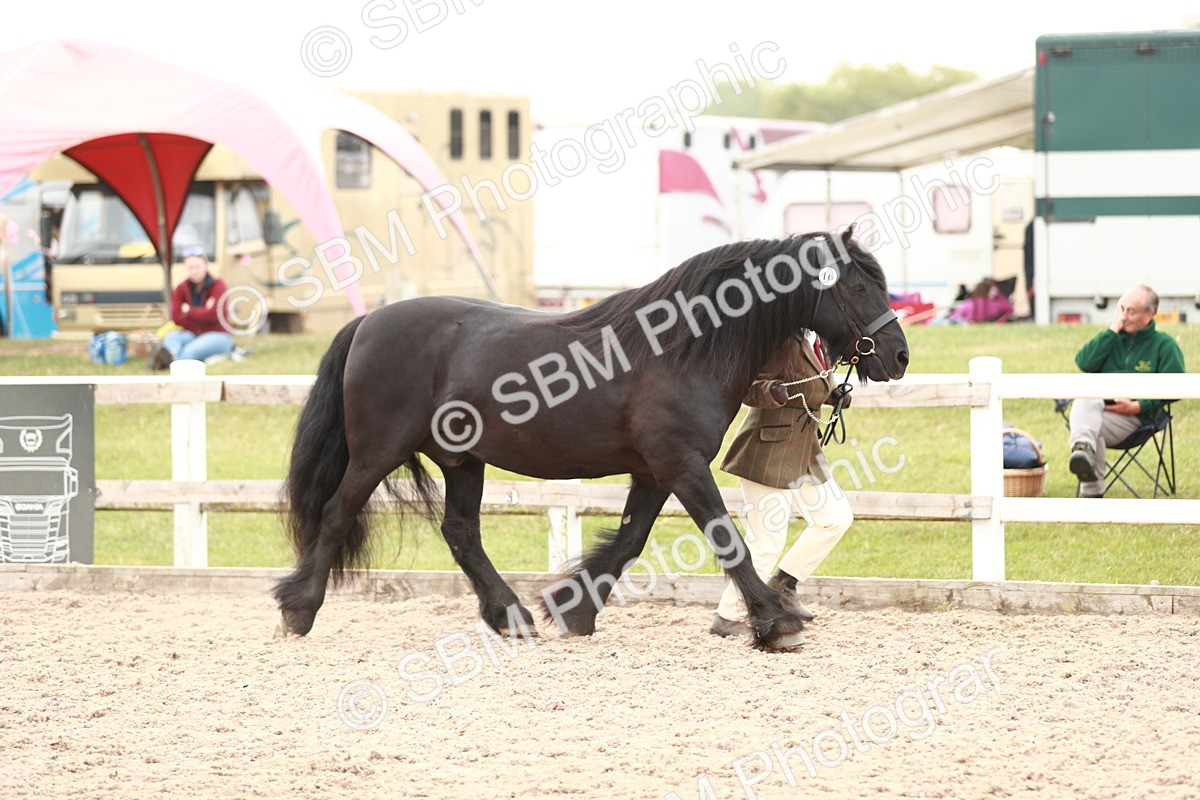 SBM_12454 - Class 207 IH M&M