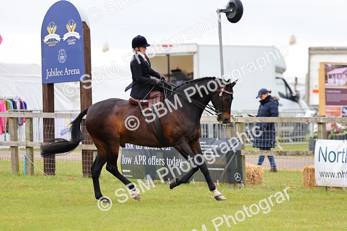 SBM_02826 - Class 9-11 Side Saddle including LIHS Rising Star Ladies Show Horse