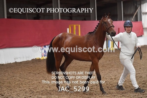 JAC_5299 - 7 L'Espirits Little Unicorn
