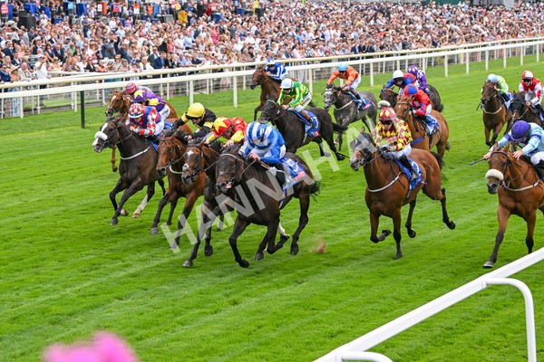 260725-Race 2-Elmonjed-7246 - Race 2 2.00pm Sky Bet Dash Handicap