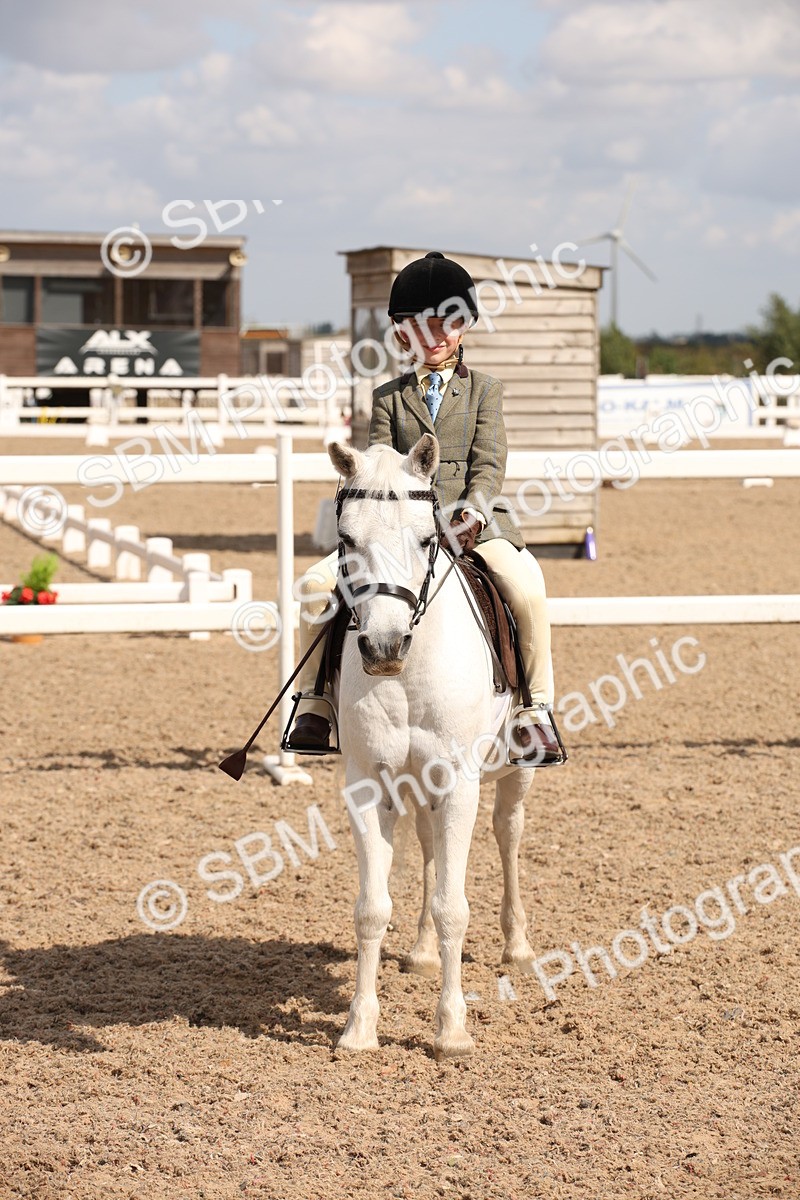 SBM_03768 - Class 19 Judge's Favourite