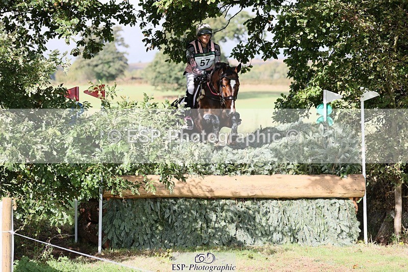 231020-115721-06845 - 057-OVERTON.TILANA'S.GOLD-Claire.Deuten-XC