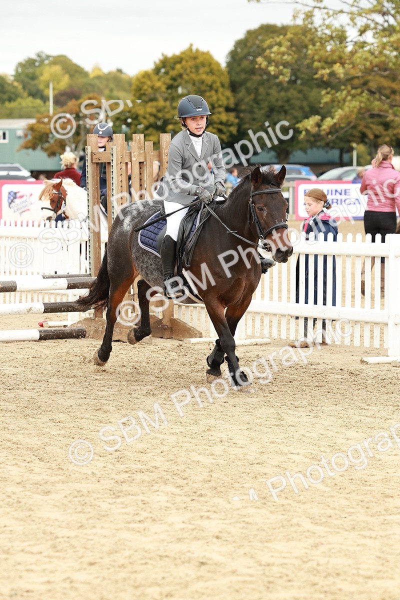 SBM_66965 - J13 - Junior Pony 60cm Championship