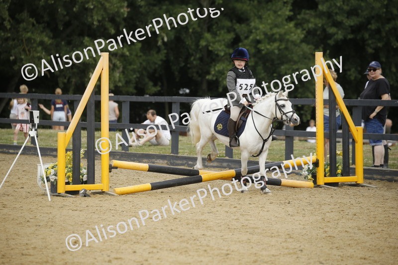 20250622-1466 - 40cm