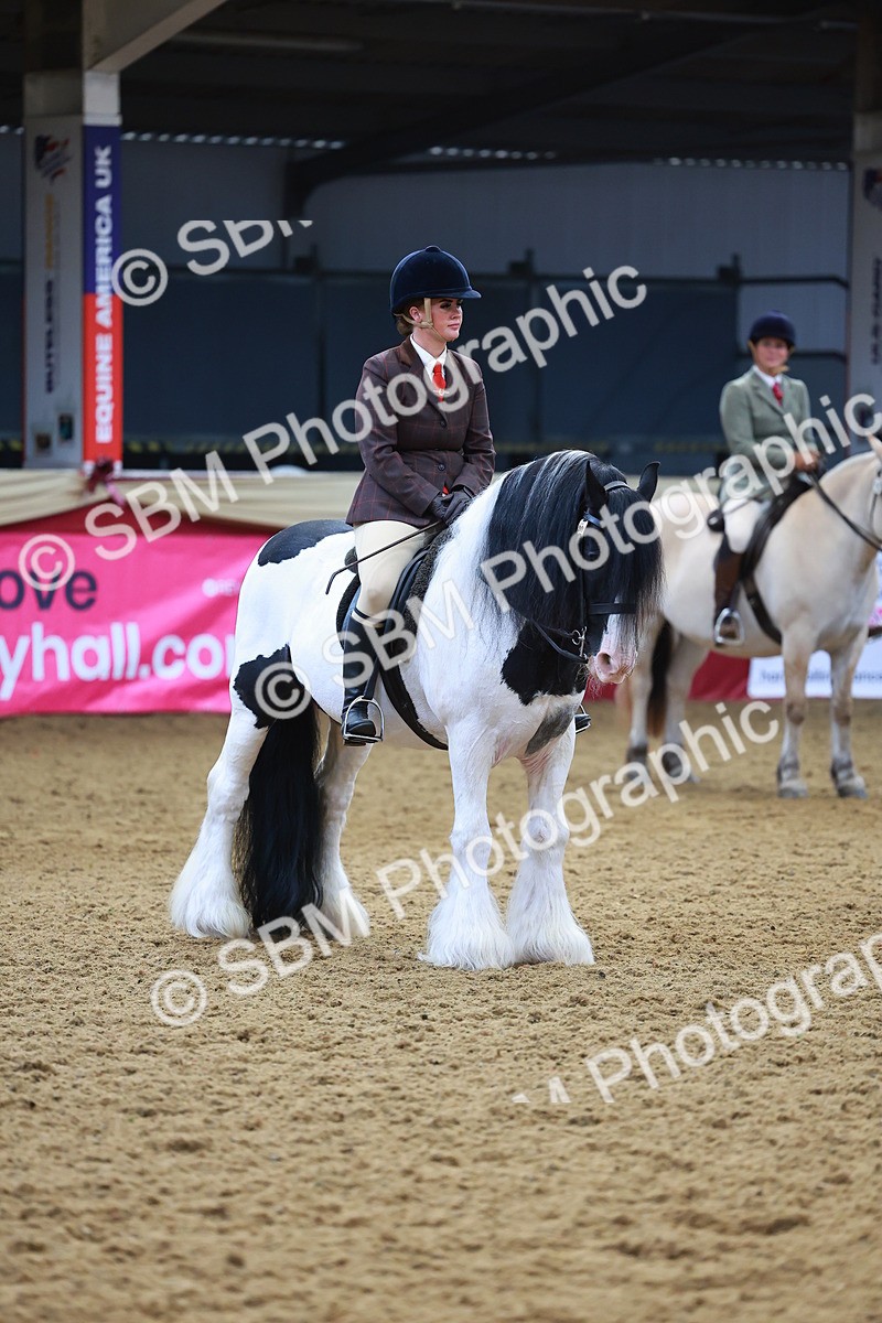 SBM_09852 - Class 102 - HOYS Veteran Qualifier - Ridden Veteran