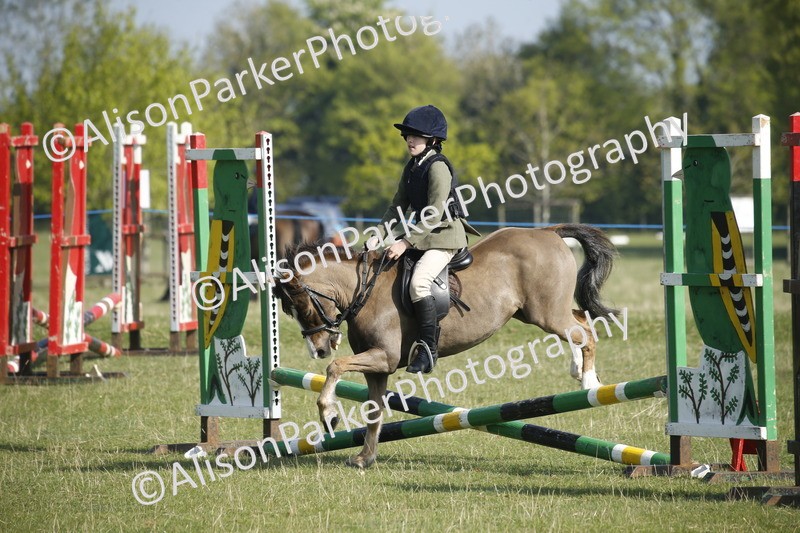 20250427-0269 - Class 12 - Rookie Jumping 40cm