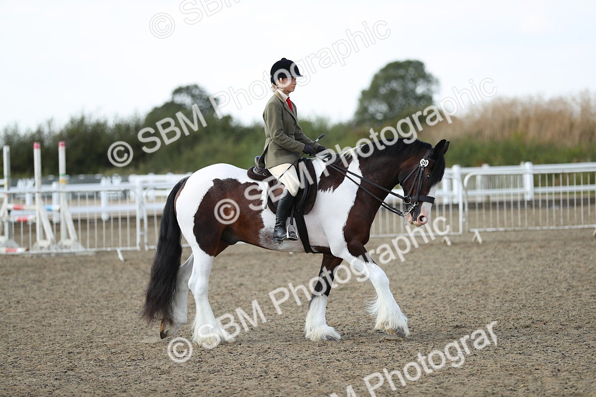 SBM_06964 - Class 49b Style & Performance 80cm (20+)