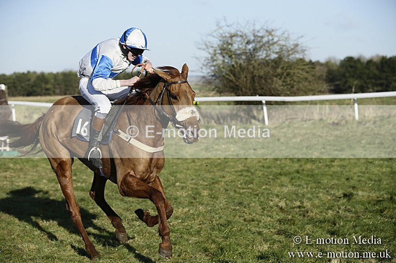 PtP 070118 -358 - Larkhill Racing Club Point to Point Larkhill 07/01/2018