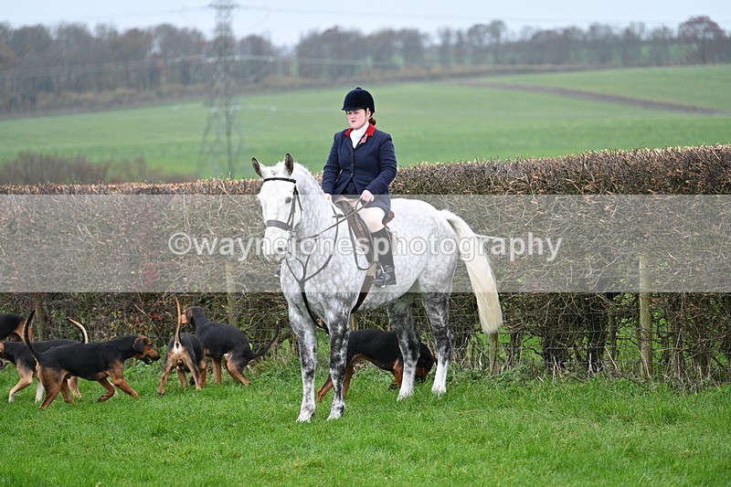 WJ7_8827 - Meet Staff & Hounds