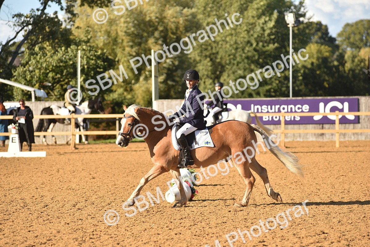 SBM_11411 - D28 - Elementary