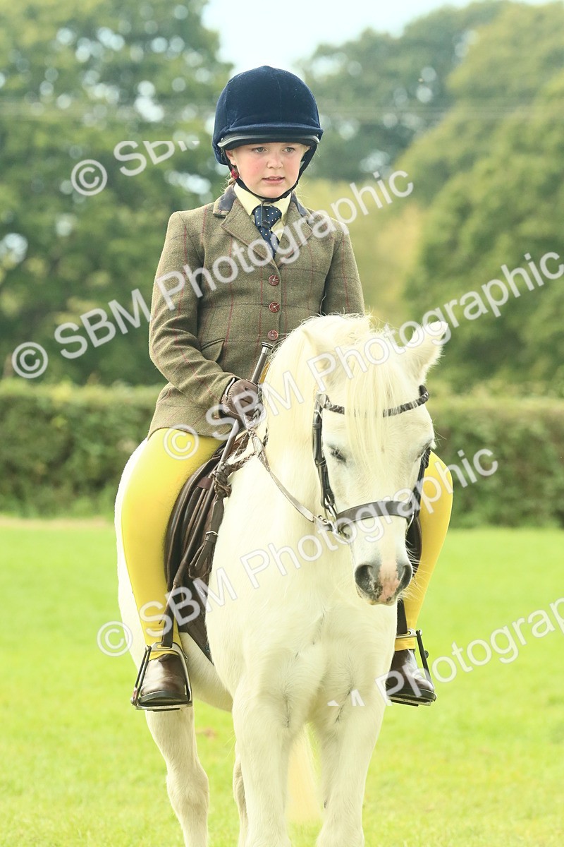SBM_69997 - S59 - Mountain & Moorland Ridden Small Breeds