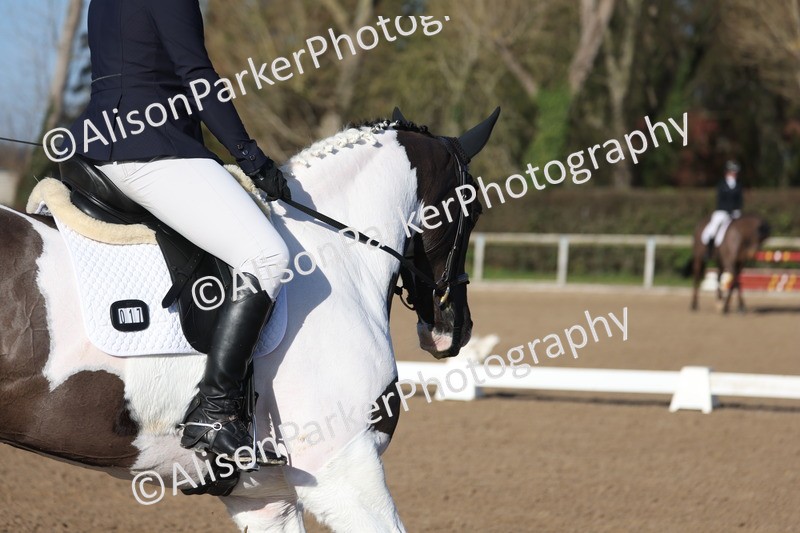 20260128-0299 - Class 3 - Novice 4