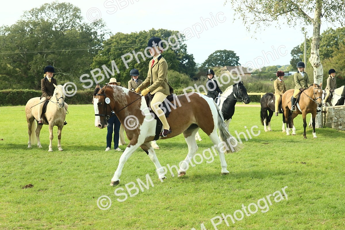 SBM_67644 - S56 - Coloured Pony Ridden