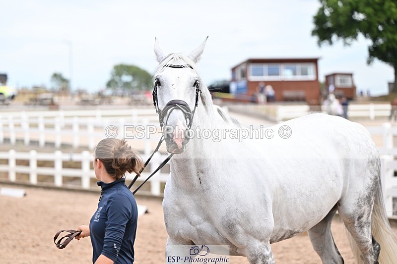 250716-142912-01111 - Trot Up 1.30 to 2.30