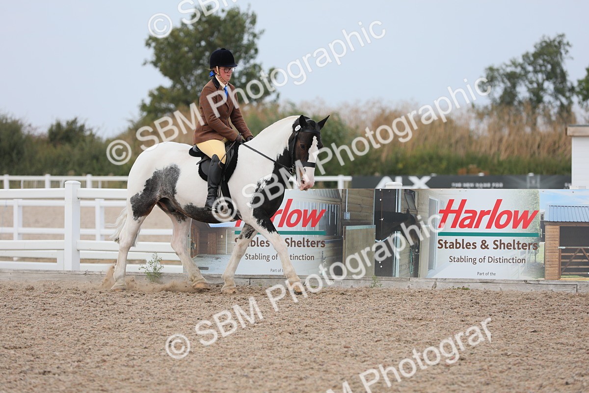SBM_16859 - Class 314 Family Horse/Pony