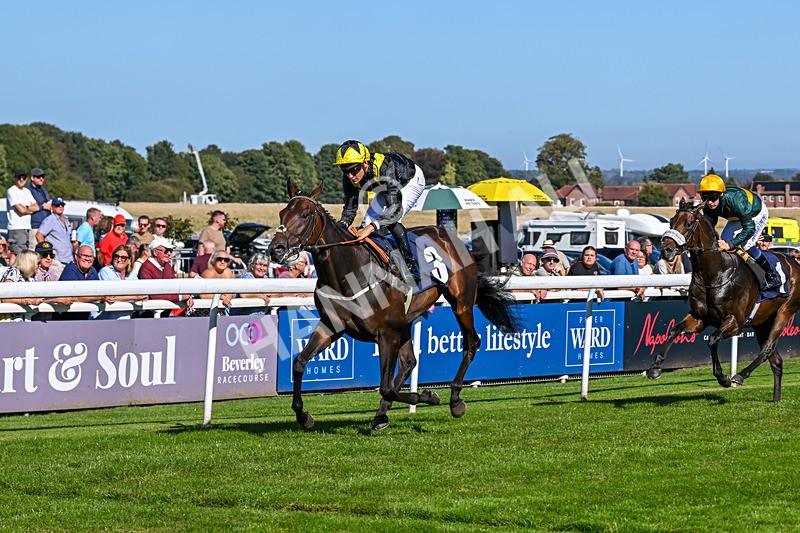 220926-Race 2-Bayraktar-3166 - Race 2 2.05pm Old Gravel Pits Lodges EBF Novice Stakes