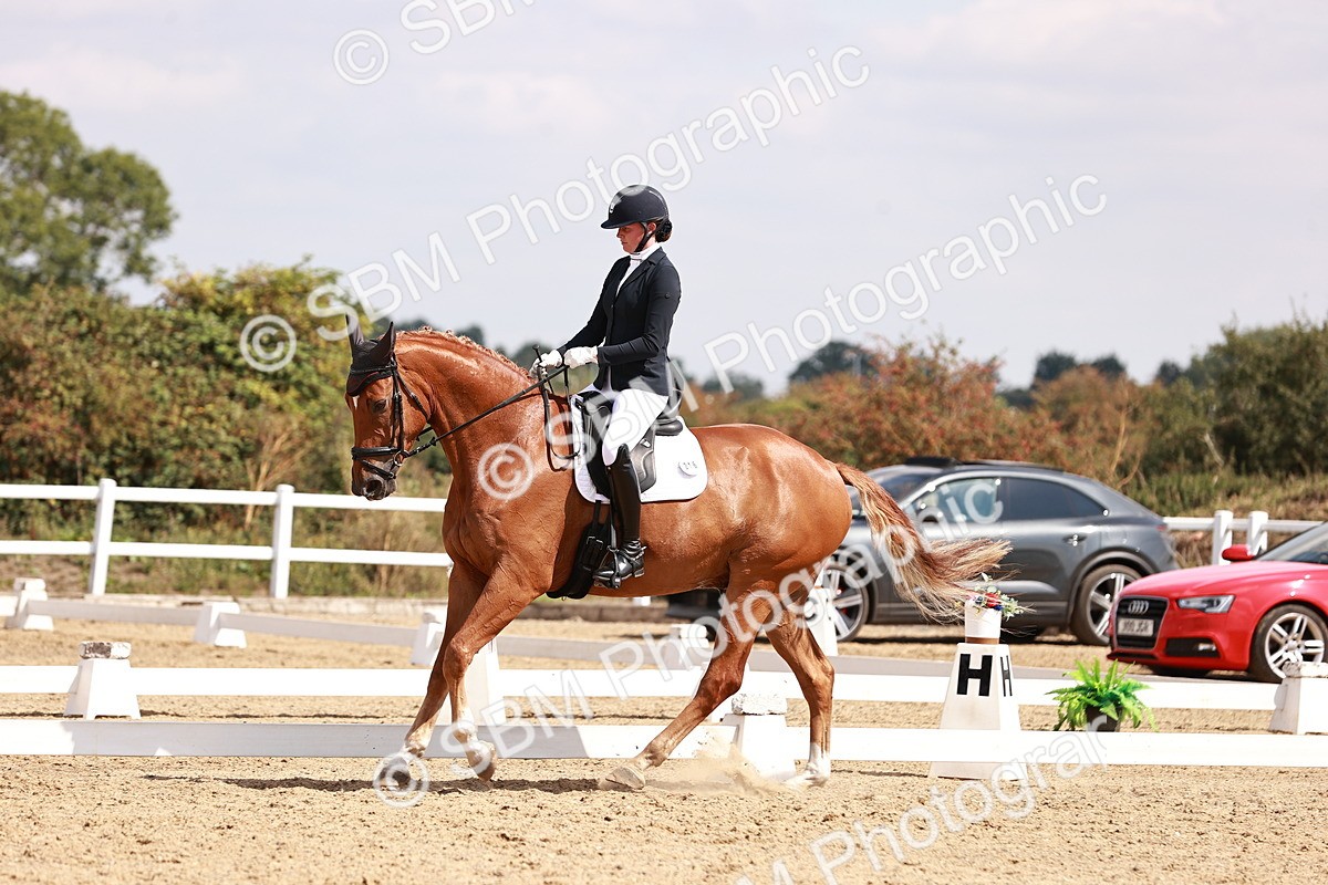 SBM_018475 - Class 17 - Novice 6