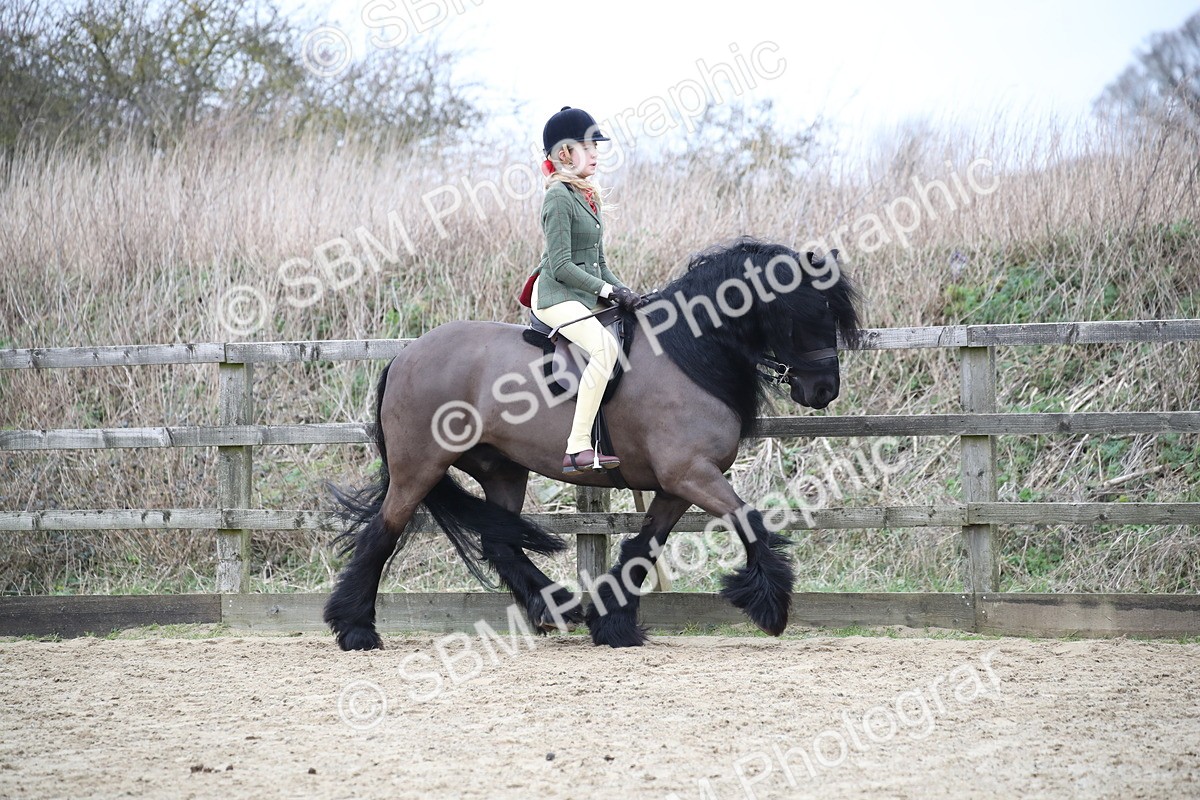 SBM_006311 - Class 10-13 - RIHS Small Large Breeds