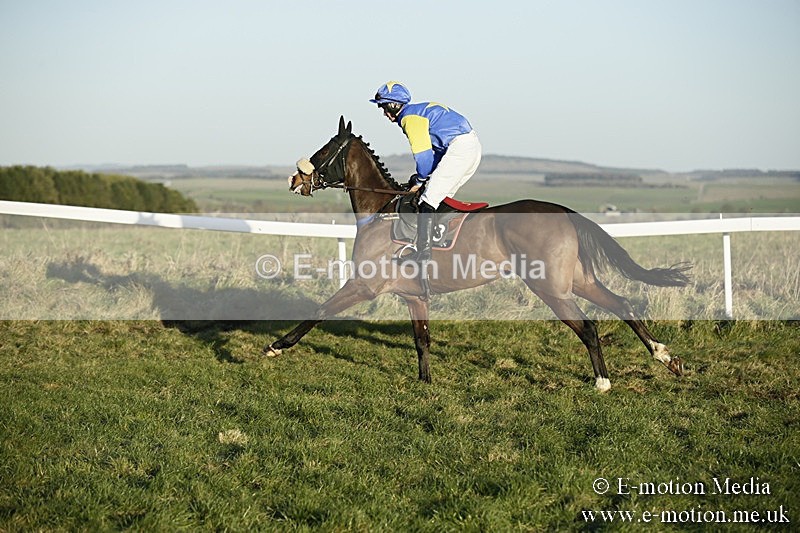 PtP 070118 -682 - Larkhill Racing Club Point to Point Larkhill 07/01/2018